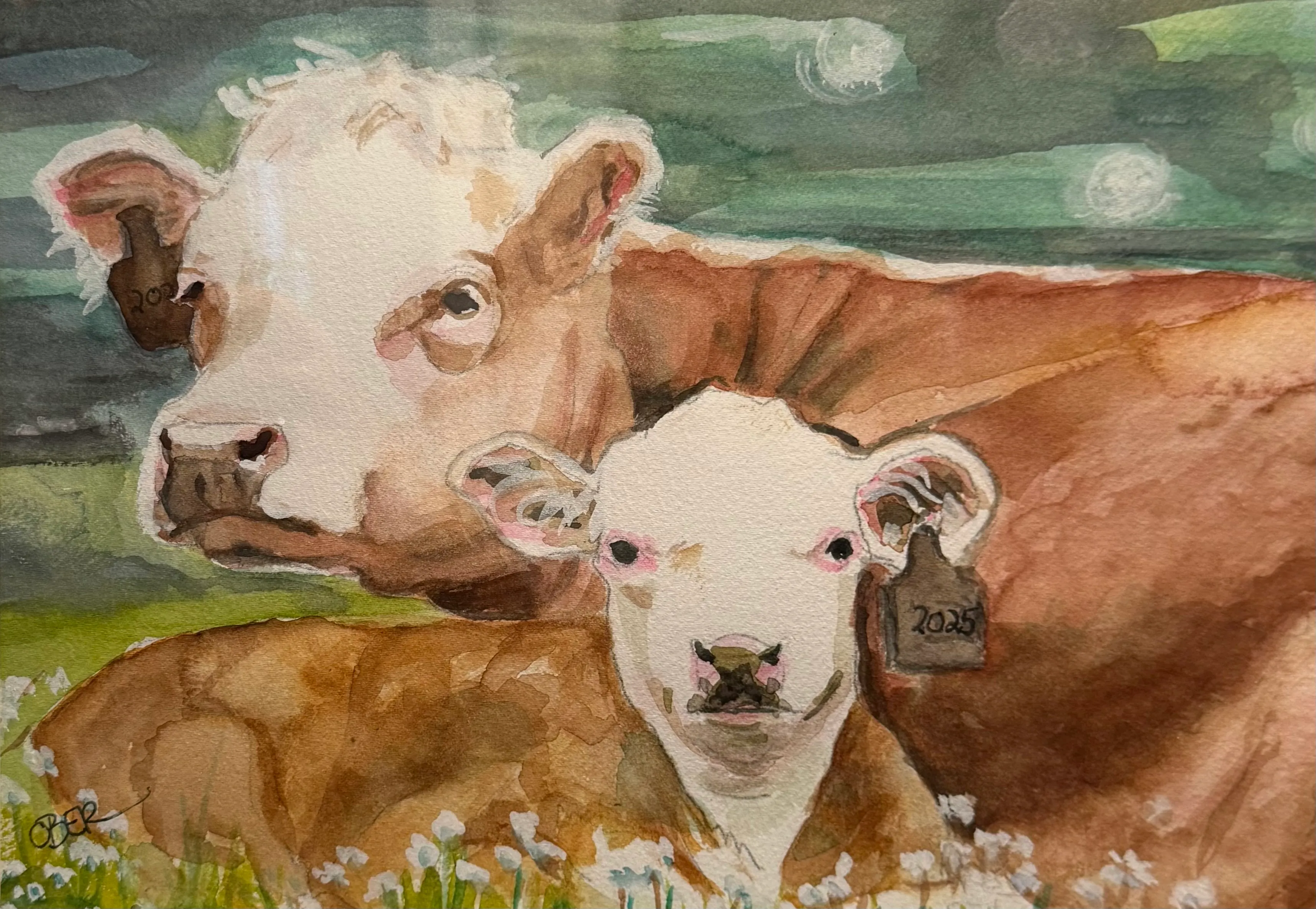 Baby Cow with Mom