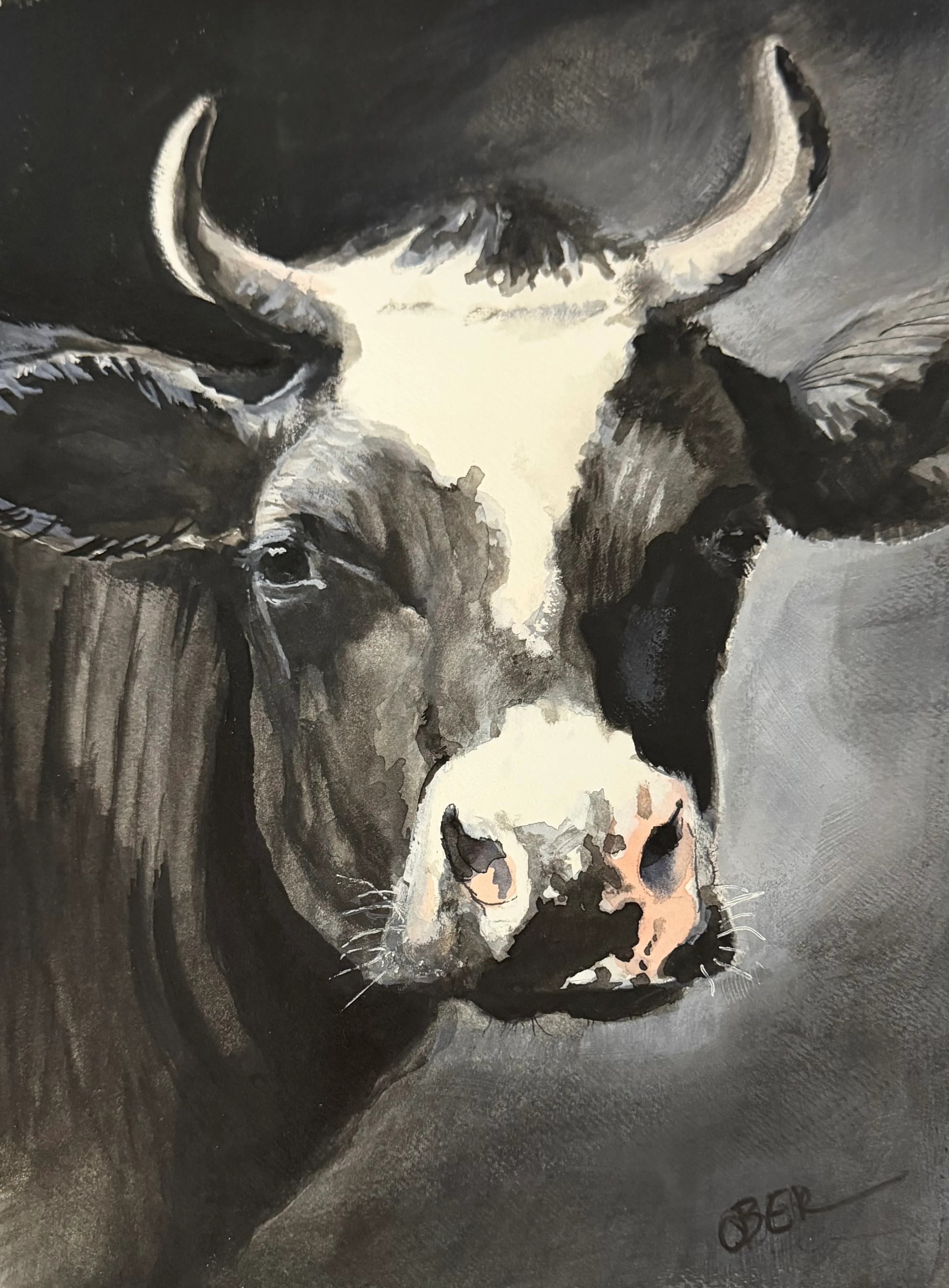 Dairy Cow