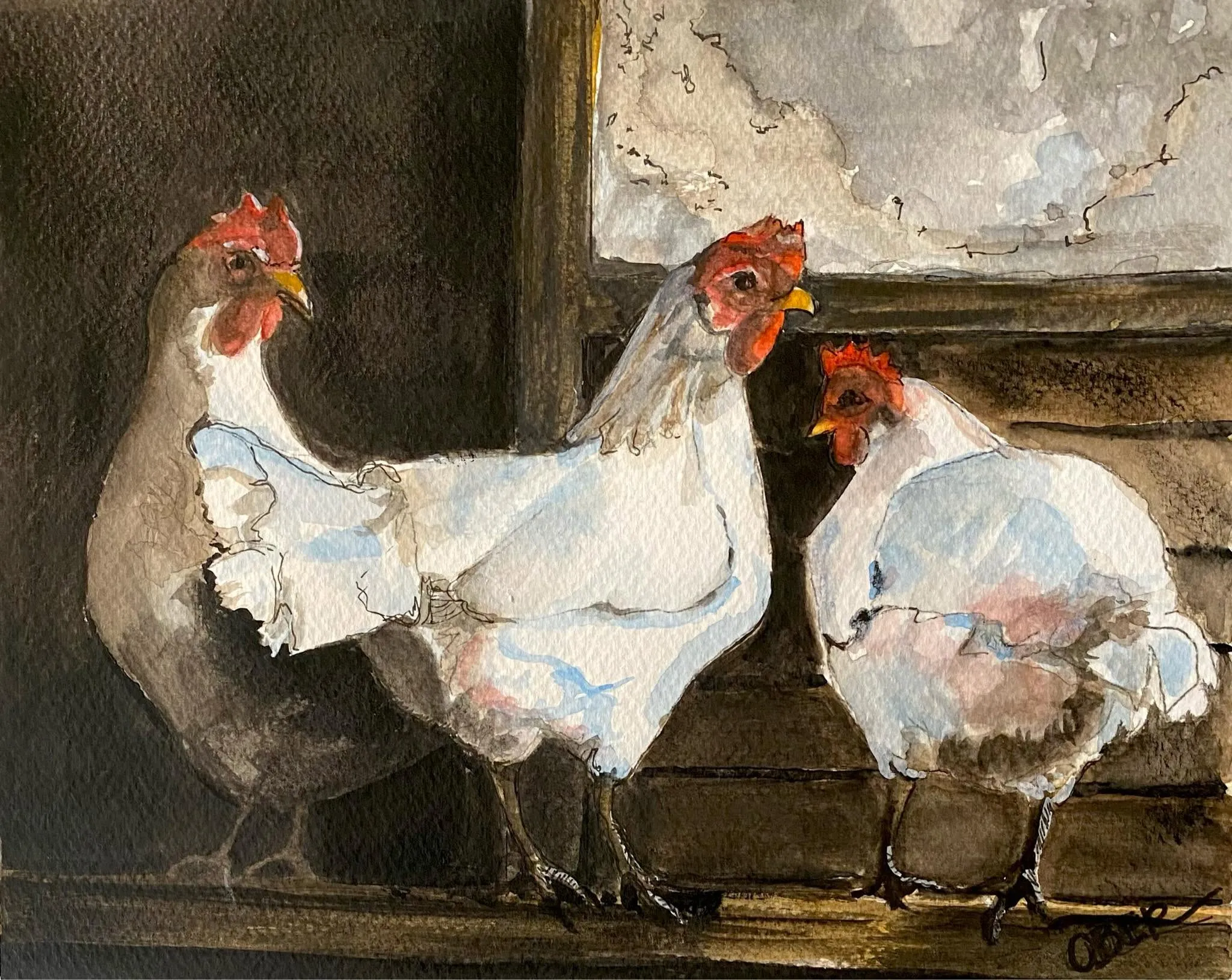 Hens in the Coop