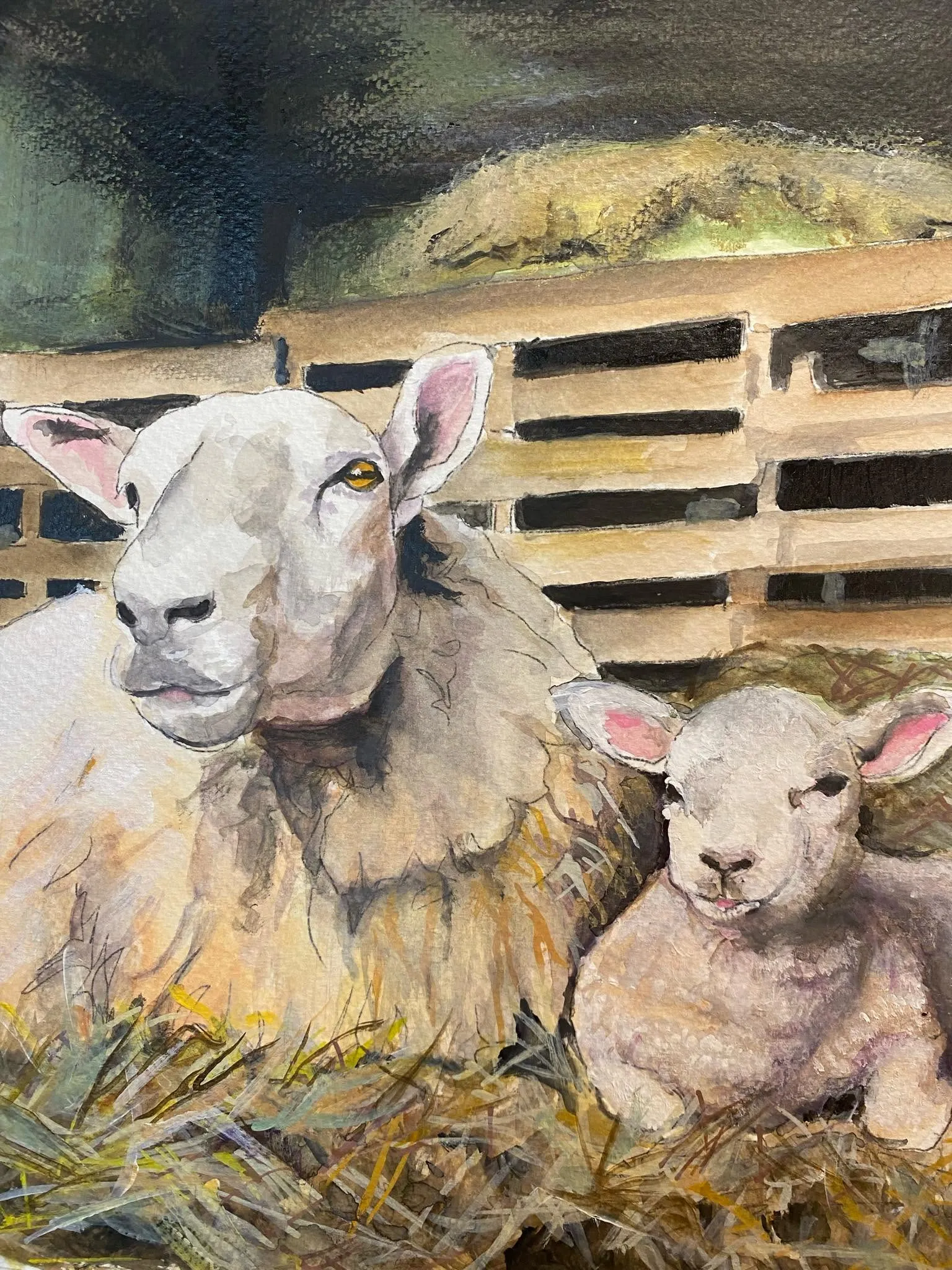 Sheep and Baby Lamb